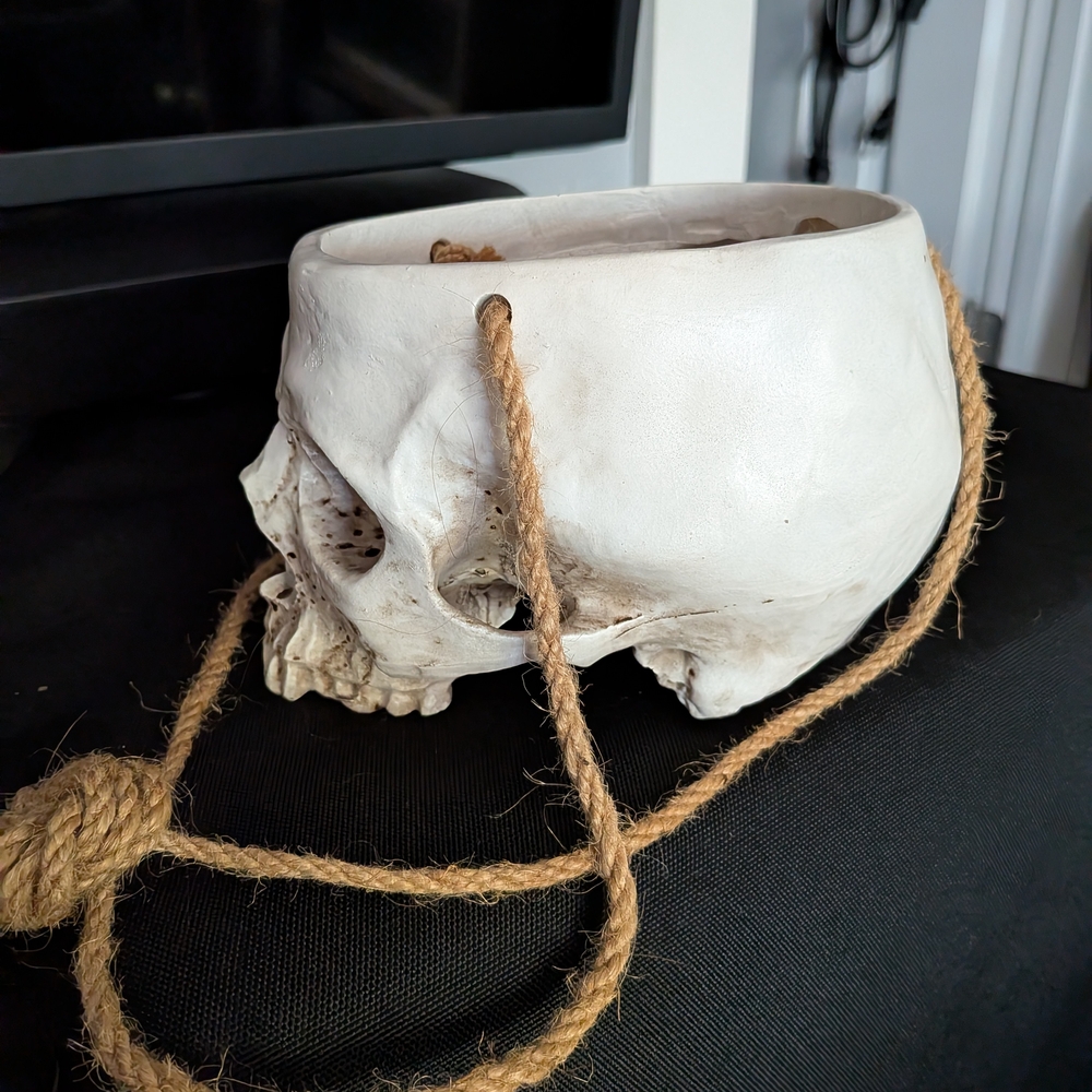 Hanging Skull Planter - Large - Picture 5 of 8